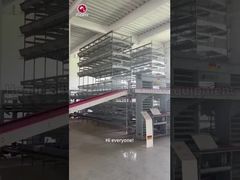 H-type laagkippenkooi geautomatiseerd pluimveesysteem