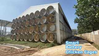 Milieugecontroleerde batterijkippenstal