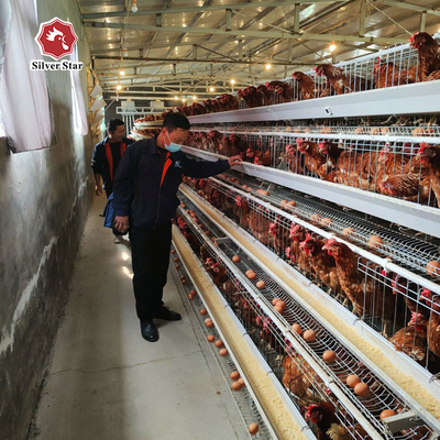 Hot Dipped Galvanized 128 birds Chicken Egg Layer Cages A Type
