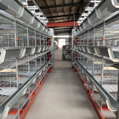 A specialized layer battery cage for poultry farms, housing chickens for laying hen operations.