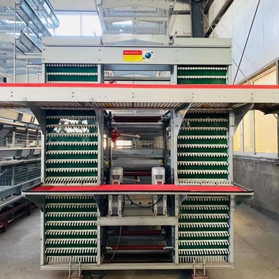 Layer Poultry Battery Cage With Belt Or Scraper Manure Removal System