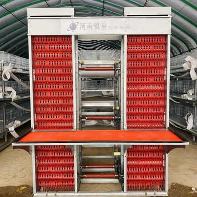 Galvanized Battery Cage System For Egg-laying Hens