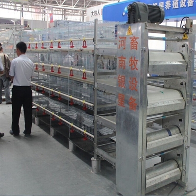 A-type Q235 Steel Cage Designed For Baby Chickens Hot-dip Galvanized Wire Mesh