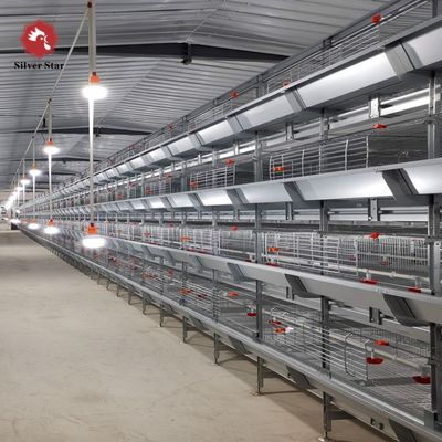 HDG Steel Broiler Chicken Cages Chicken Meat Broiler Cages With Automatic Poultry Feeding