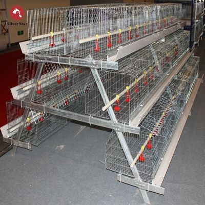 5000 birds Automatic H Type Galvanized Layer Battery Chicken Cage For Poultry Farm House Equipment