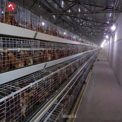 Automatic H type Galvanized Egg Chicken Layer Battery Chicken Cage for Poultry Farm House Equipment