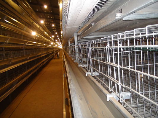 1950×2300×1500 Automatic A Type H Type Poultry Farming Chicken Cage For Layer Equipment
