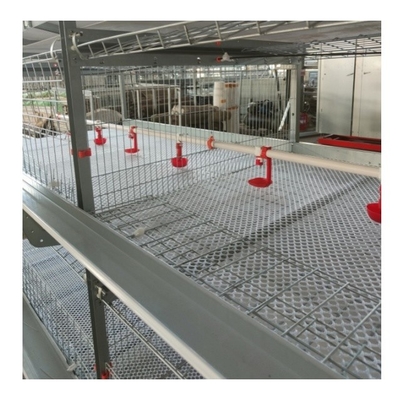 90-160 Birds H Type Chicken Cage Poultry Farming Design