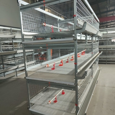90-160 Birds H Type Chicken Cage Poultry Farming Design