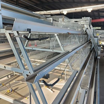 1950×2300×1500 Automatic A Type H Type Poultry Farming Chicken Cage For Layer Equipment