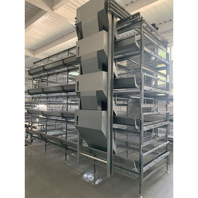 Fully Automatic H-Type Broiler Cage System with Hot-Dip Galvanized Steel for High-Density Poultry Farming