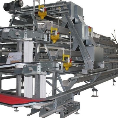1950×2300×2000 Battery Egg Layer Cage Farming Equipment And Egg Collection Disinfection System