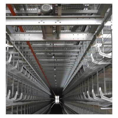 Layer Cages Poultry Farm Battery Cages Chickens Automatic Layer Chicken Cage For 20000 Birds