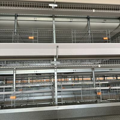 Layer Cages Poultry Farm Battery Cages Chickens Automatic Layer Chicken Cage For 20000 Birds