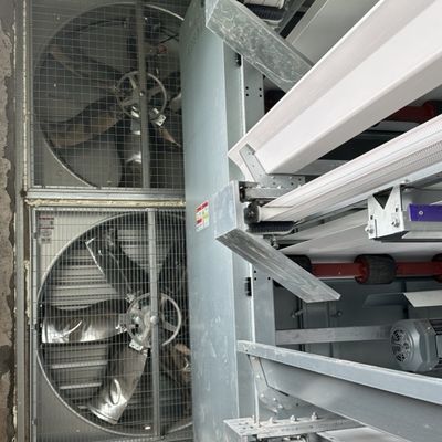 Layer Cages Poultry Farm Battery Cages Chickens Automatic Layer Chicken Cage For 20000 Birds