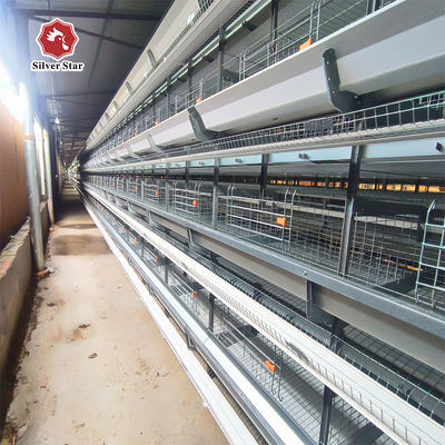 Hot-Dip Galvanized Fully Automated 3-8 Tier Layer Cage with Automatic Egg Collection System