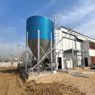 Hot-Dip Galvanized Fully Automated 3-8 Tier Layer Cage with Automatic Egg Collection System