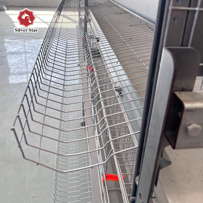 Automatic Layer Chicken Cage Equipment Battery Cage System for Layer Chickens