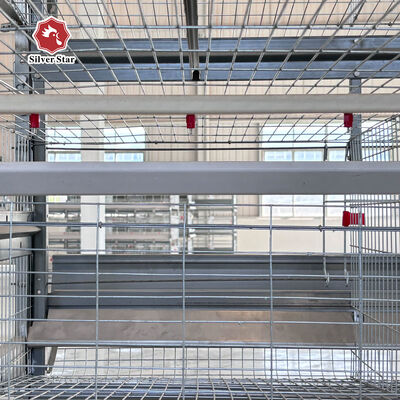 Automatic Poultry Farm Equipment High-Density H-Type Layer Battery Chicken Cage System for Egg Production Farm
