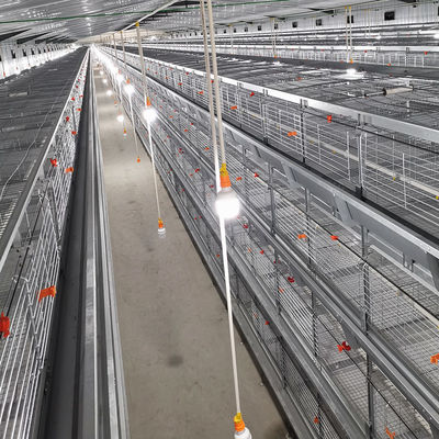 Automated H-Type Broiler Cage System - High-Density Hot-Dip Galvanized Poultry Farming Equipment