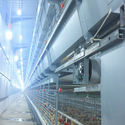 H Type Baby Chick Cage with Hot Dip Galvanizing and Automatic Feeding for 100-200 Chickens/set