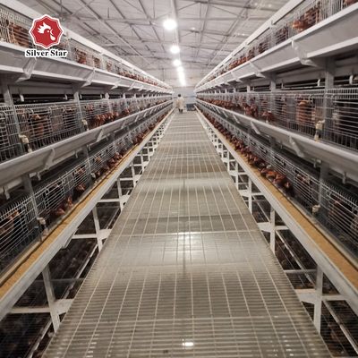 One Day To 45 Days Broiler Chicken Cage For Chicken Farm