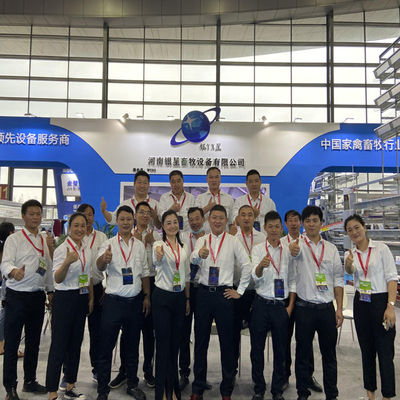 1950×2300×2000 Battery Egg Layer Cage Farming Equipment And Egg Collection Disinfection System