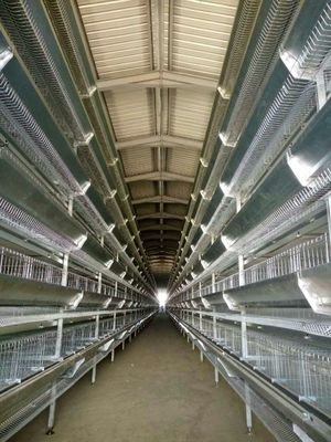 Hot Galvanized Layer Cage System For Poultry Farming