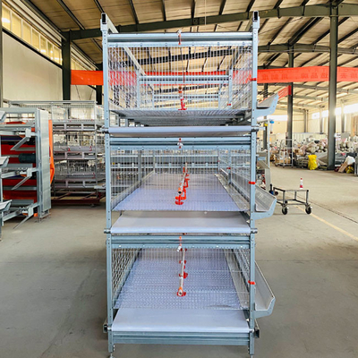 180 Birds H Type Battery Cage Q235A Broiler Farm Equipment