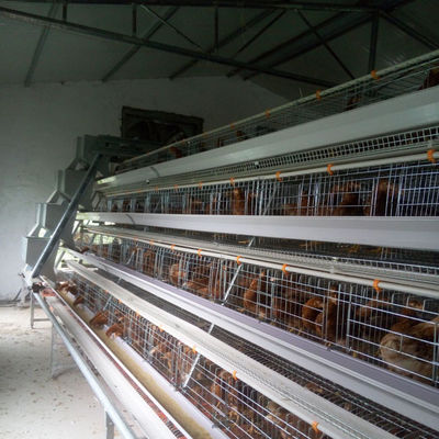Hot Galvanized Layer Cage System For Poultry Farming
