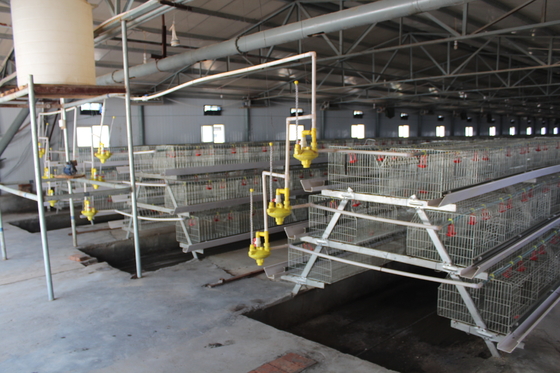 A-type Q235 Steel Cage Designed For Baby Chickens Hot-dip Galvanized Wire Mesh