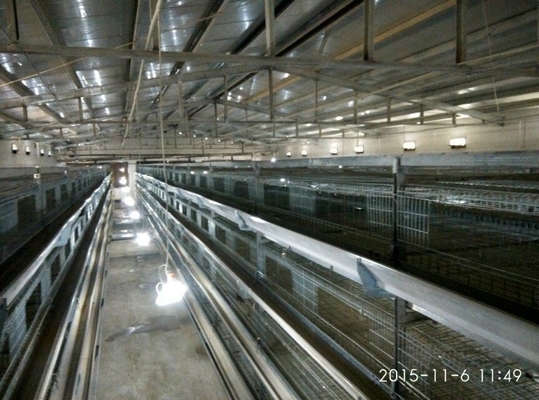 A-type Q235 Steel Cage Designed For Baby Chickens Hot-dip Galvanized Wire Mesh