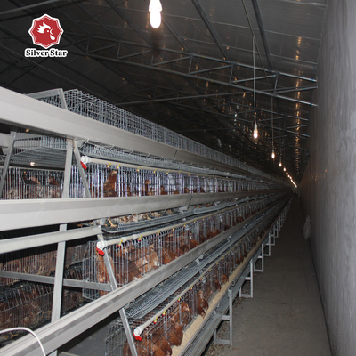 A Type Full Automatic Battery Chicken Cage Cold Galvanized For Farm