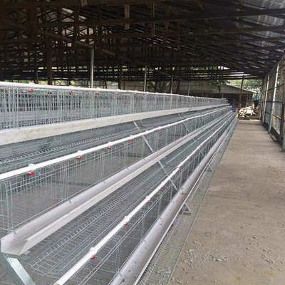 10000 Layers New Design Layer Hen Cage Battery Cage Eggs