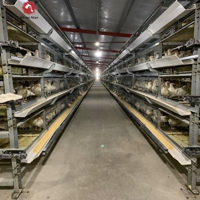 Automatisch H-Type Broiler Batterijkooisysteem voor Commerciële Vleeskuikenboerderijen met Warmverzinkt Frame en 3-4 Lagen Configuratie