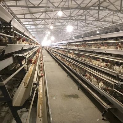 Duurzame laag kippenkooi met 3 of 4 lagen voor ruimtegebruik en langdurige corrosiebestendigheid Geschikt voor pluimveebedrijven