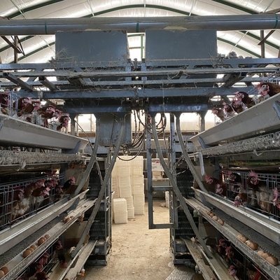 Pluimvee H Type 3 Tier 4 Tiers Legkippen Layer Egg Chicken Cage