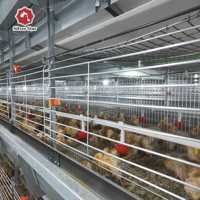 Batterijkooisysteem voor leghennen Automatische pluimveeapparatuur Kippeneierboerderijoplossing