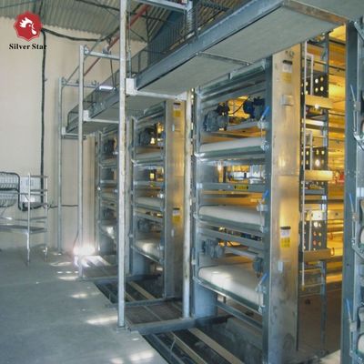 Precisie-ontworpen H-type vleeskuikenkooisysteem | Hoogrenderende commerciële pluimveeproductieapparatuur