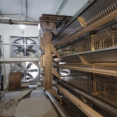 Coop Broiler Battery Chicken Cage Automatic Poultry Farm H Type 3 Tiers 4 Tiers