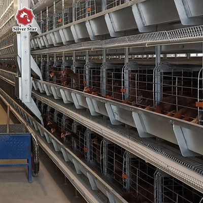 H-Type Automatic Layer Battery Cage System for Commercial Poultry Farms - Hot-Dip Galvanized, Automated Egg Collection, 15-20 Years Service Life