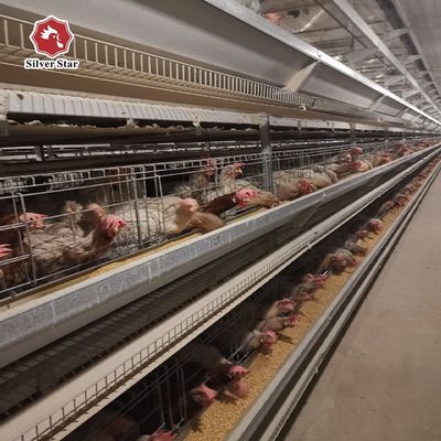 H-type laag kippenkooi systeem automatische pluimveeapparatuur voor commerciële eieren boerderijen