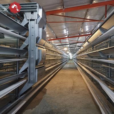 Industriële H-type laagbatterijkooien met buitenlandse technische ondersteuning