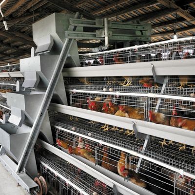 3-laags / 4-laags A-type legkippenkooi met automatische voeding & eierverzameling en thermisch verzinkt staal