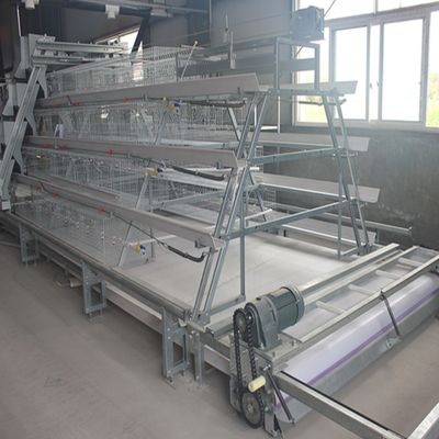 5000 birds Automatic H Type Galvanized Layer Battery Chicken Cage For Poultry Farm House Equipment