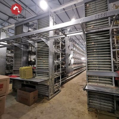Automatisch H-type broilerbatterijkooien systeem voor commerciële vleeskippenhouderijen