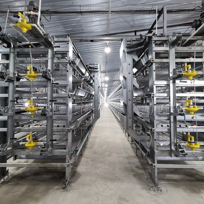 Vleeshoudingsapparatuur Type H Automatisch systeem Batterij Broiler Kipkooi