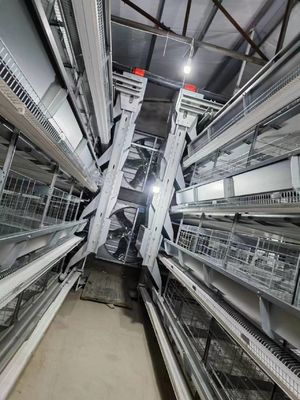 Philippines Galvanized Egg Layer Chicken Cage H Type 68KG ISO9001