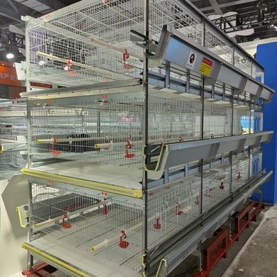 Automatisch H-type baby kippen broedkooi systeem met hot dip galvanisatie en 100-300 kippen per set capaciteit