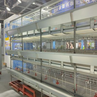 Automatisch H-type baby kippen kooi systeem met gegalvaniseerd staal en 100-300 kippen per set capaciteit